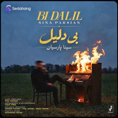 بی دلیل