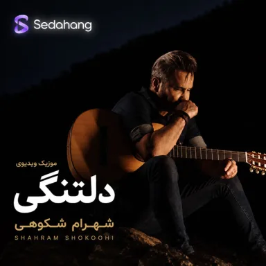 دلتنگی